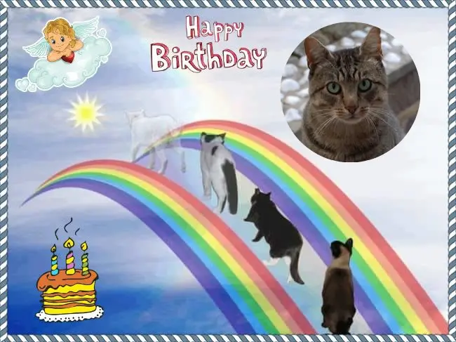 Condolence image of 17. Geburtstag❤️❤️❤️❤️❤️❤️❤️❤️❤️❤️❤️❤️❤️❤️❤️❤️❤️fur Unsere Graulilein❤️⭐️