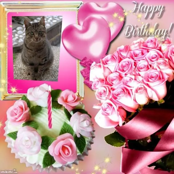 Condolence image of 17. Geburtstag❤️❤️❤️❤️❤️❤️❤️❤️❤️❤️❤️❤️❤️❤️❤️❤️❤️fur Unsere Graulilein❤️⭐️