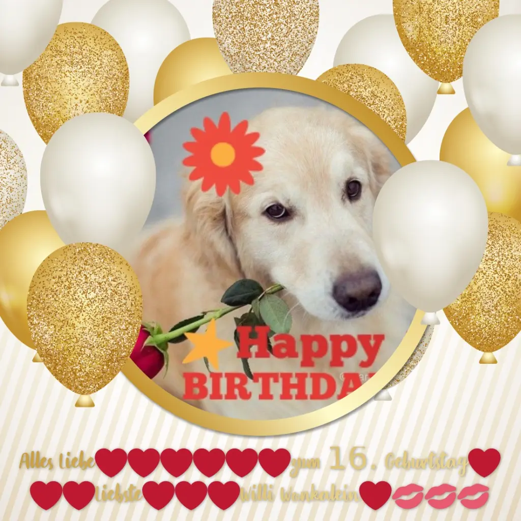 Condolence image of 16.Geburtstag❤️❤️❤️❤️❤️❤️❤️❤️❤️❤️❤️❤️❤️❤️❤️❤️❤️fur Willi Wonka❤️