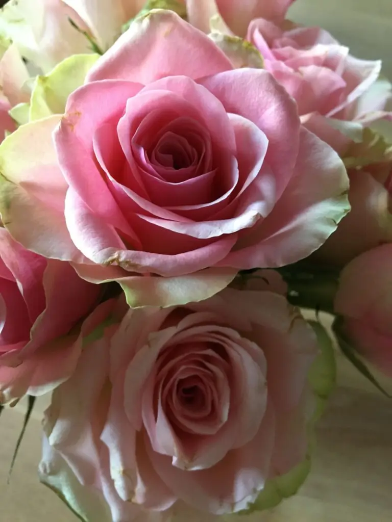 Condolence image of Deiner Anja die Dich❤️ wahnsinnig vermisst