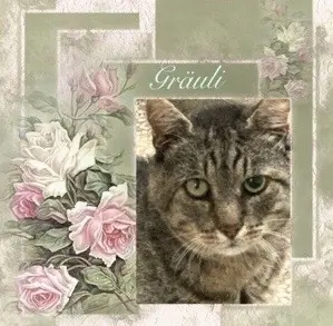 Condolence image of Sabine mit Kaspar&Jessy tief im ♥️