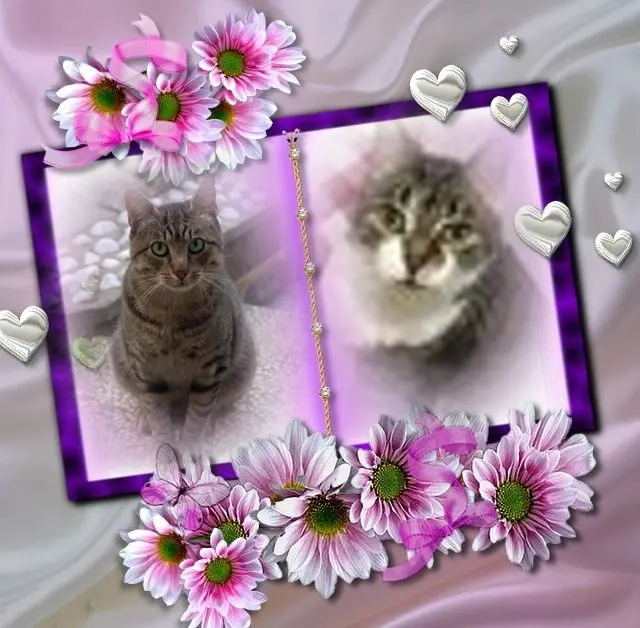 Condolence image of Sonntags❤️Rosenchen❤️❤️❤️❤️❤️❤️