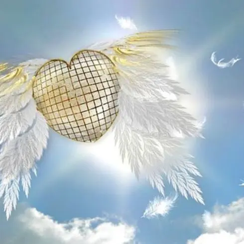 Condolence image of : ✬¸.•*¨*•.☆ Gräuli ❤️ zum Gedenken - 21 Monate ☆.•*¨*•.¸✬