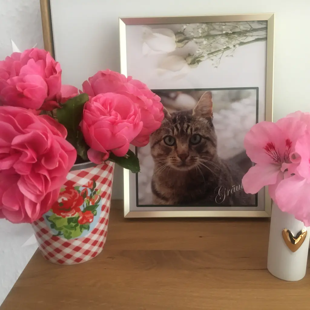 Condolence image of ❀ ´¯`*•.¸¸ ❀ Grüße von Mutti ❀ ´¯`*•.¸¸ ❀❤️