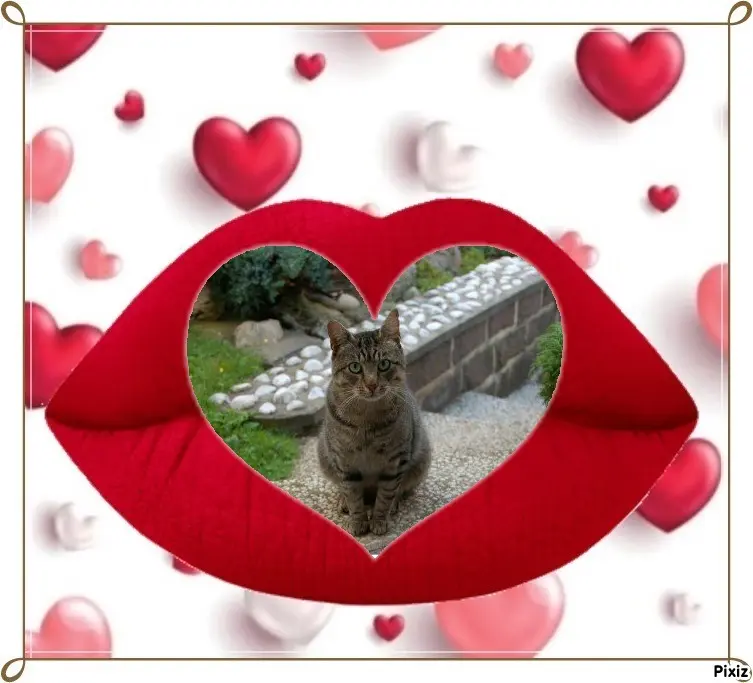 Condolence image of Tanja mit Timmy im Herzen 