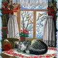 Condolence image of ✬¸.•*¨*•.☆Himmelsgrüße an Gräuli✬¸.•*¨*•.☆❤️