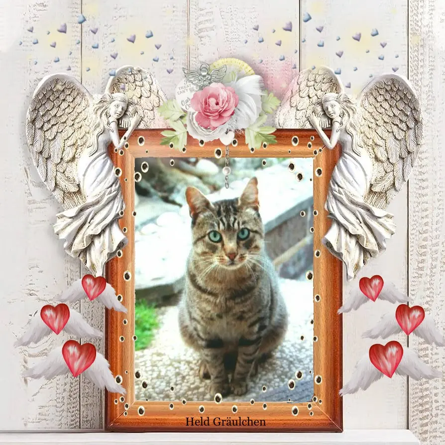 Condolence image of Sabine mit Kaspar & Jessy im ♥️
