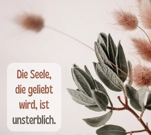 Condolence image of Sabine mit Kaspar&Jessy tief im♥️