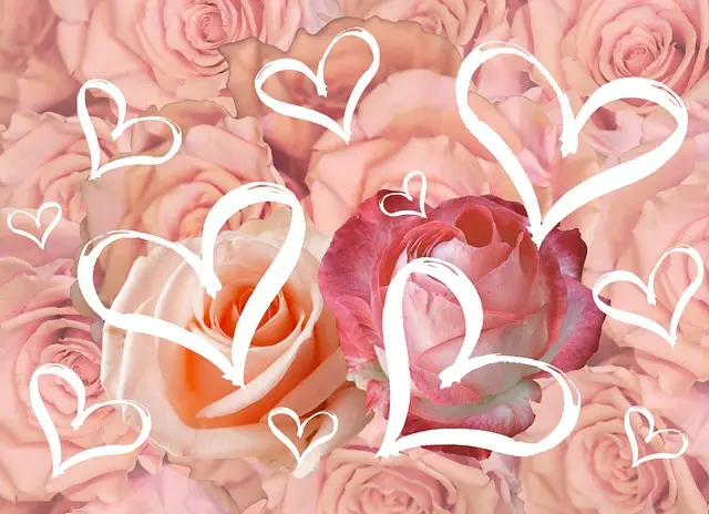 Condolence image of ✬¸.•*¨*•.☆Für Gräuli ❤️ zum Gedenken - 29 Monate ✬¸.•*¨*•.☆❤️