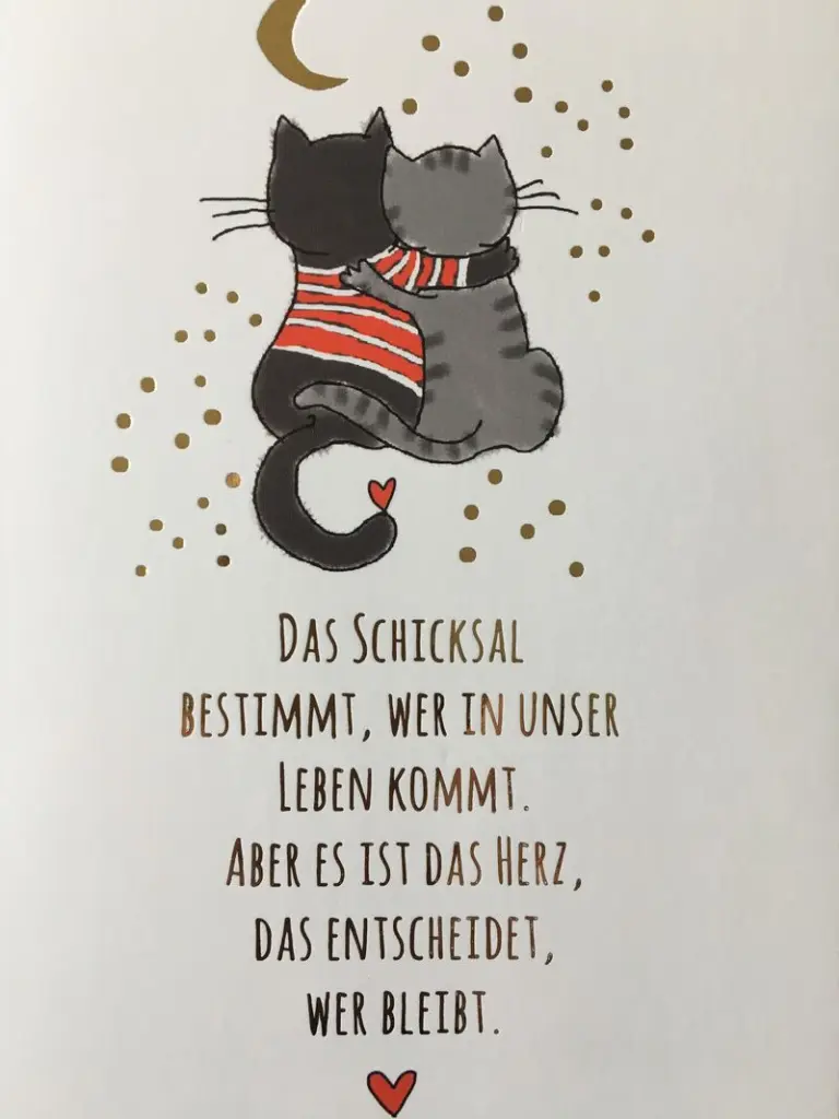 Condolence image of ✰¸.•*¨*•.¸✰ Himmelsgruß an mein Gräulchen❤️ ✰¸.•*¨*•.¸✰