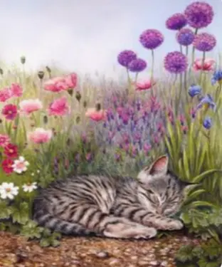 Condolence image of ✰¸.•*¨*•.¸✰ Himmelsgruß an mein Gräulchen❤️ ✰¸.•*¨*•.¸✰