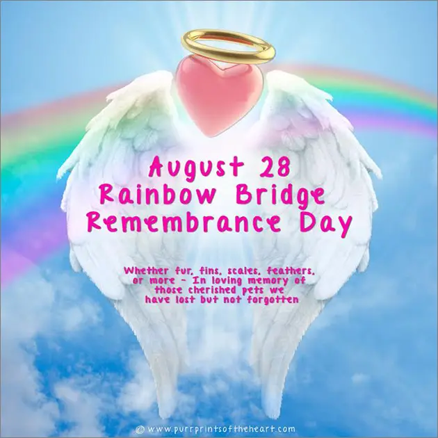 Condolence image of ✰¸.•*¨*•.¸✰ Himmelsgruß❤️ ✰¸.•*¨*•.¸✰