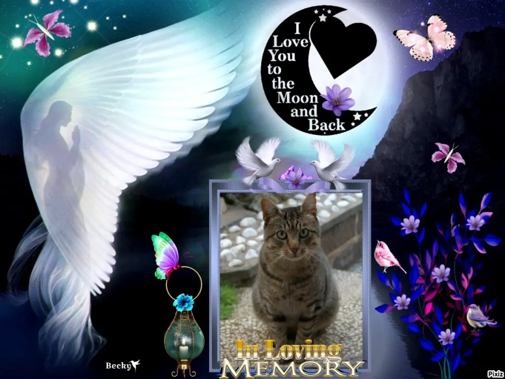 Condolence image of Tanja mit Timmy im Herzen