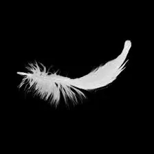Condolence image of ⭐️Kalli..Engelsflügel werden dich begleiten⭐️