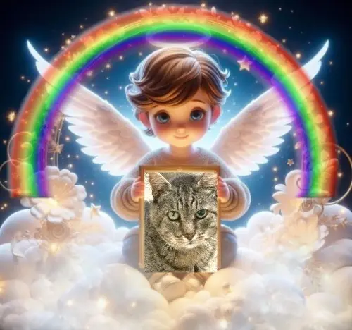 Condolence image of Sabine mit Kaspar&Jessy im ♥️
