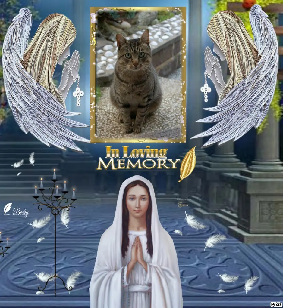 Condolence image of Tanja mit Timmy im Herzen 
