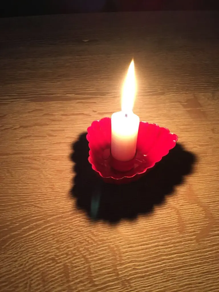 Condolence image of ✰¸.•*¨*•.¸✰❤️ FÜR WILLI ❤️✰¸.•*¨*•.¸✰