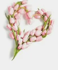 Condolence image of ✰:༅。。༅:✰ Für Gräuli ❤️& Papa❤️ zum Gedenken ✰:༅。。༅:✰