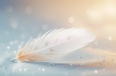 Condolence image of Gräuli's 4.⭐️⭐️⭐️⭐️Sternengeburtstag