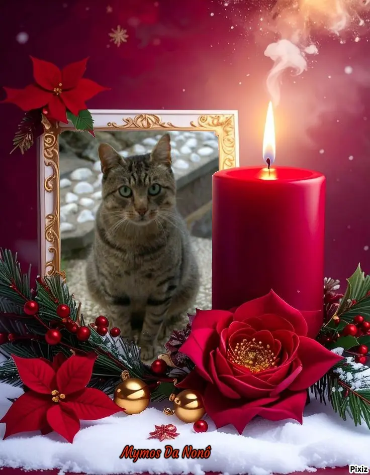 Condolence image of Tanja mit Timmy im 💘