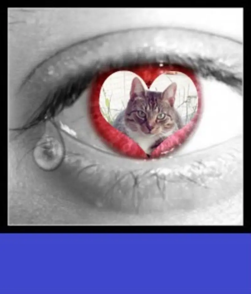 Condolence image of ❤️❤️❤️❤️❤️❤️❤️❤️❤️❤️❤️❤️❤️❤️