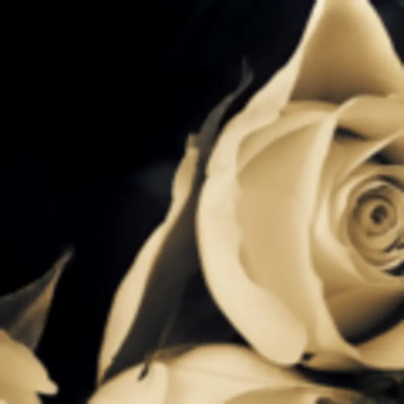 Condolence image of Anja mit Maja & Gräuli im ༺❤️༻