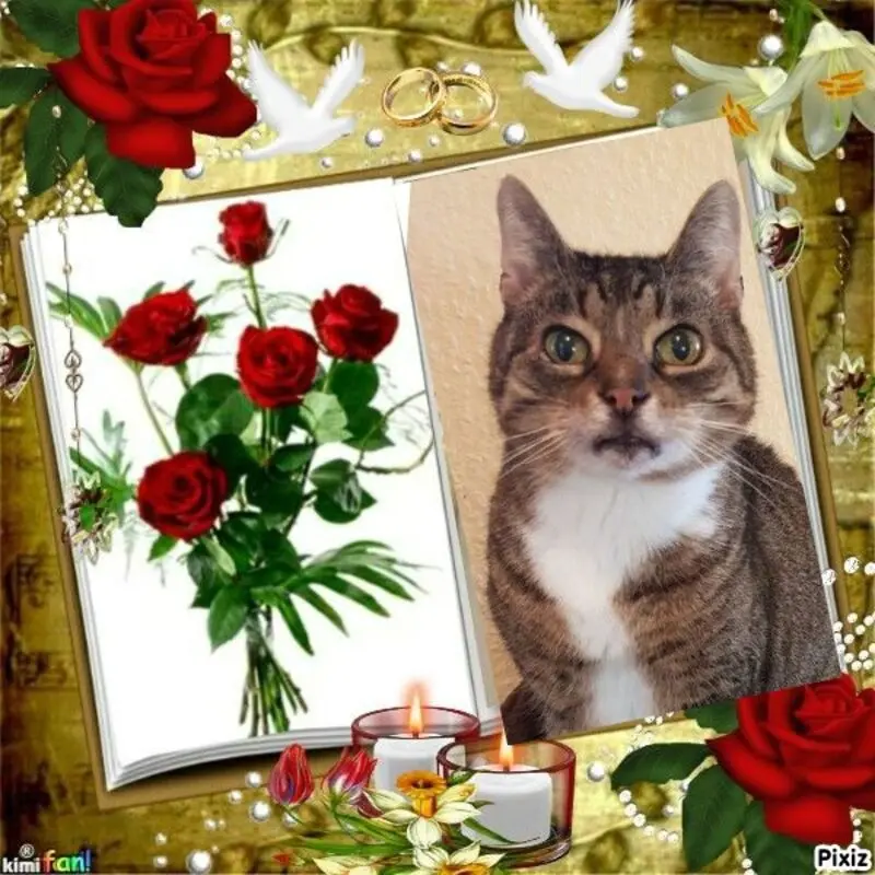 Condolence image of Jutta mit Purzel tief im Herzen✟08.05.2016