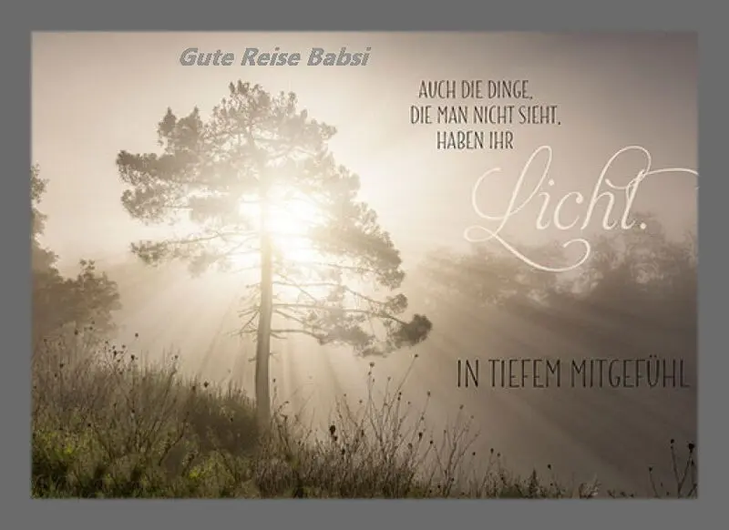Condolence image of Sabine mit Kaspar tief im Herzen