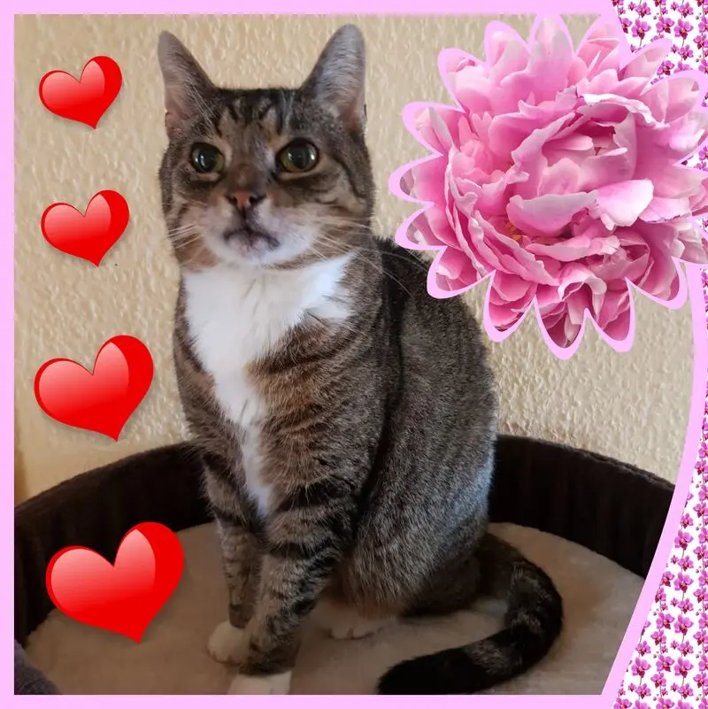 Condolence image of ❤Eike und Edeltraud mit unseren sieben Sternchen tief im Herzen ❤ ❤ ❤ ❤ ❤ ❤ ❤
