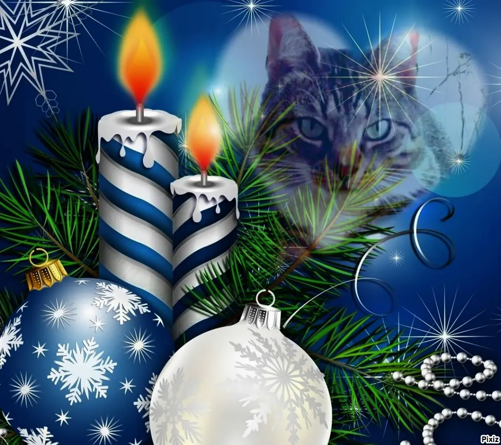 Condolence image of Tanja mit Timmy im Herzen