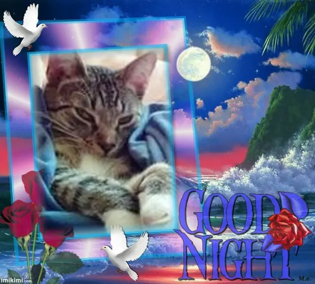 Condolence image of Gute❤️❤️❤️Nacht❤️❤️❤️