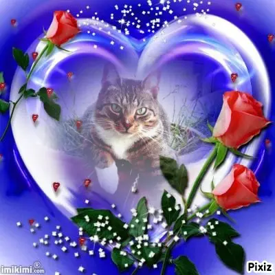 Condolence image of Tanja mit Timmy im Herzen
