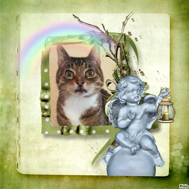 Condolence image of Tanja mit Timmy im Herzen