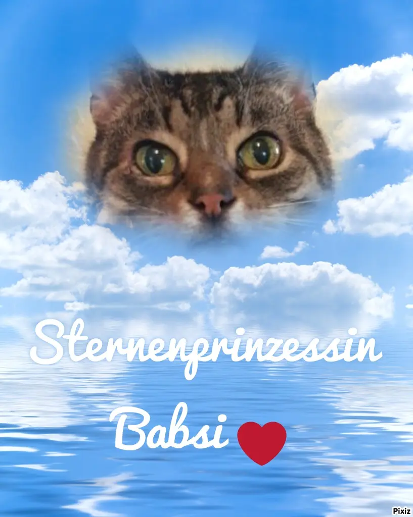 Condolence image of Tanja mit Timmy im Herzen