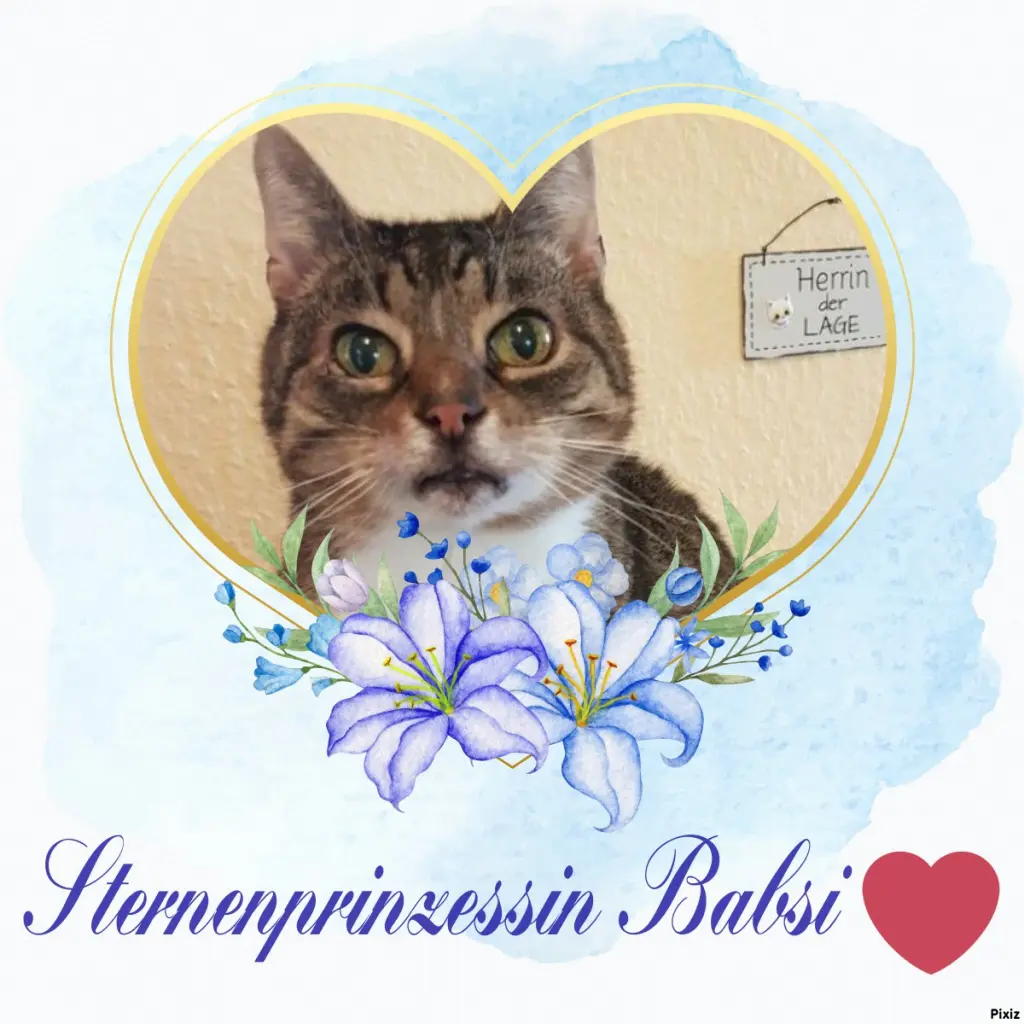 Condolence image of Tanja mit Timmy im Herzen