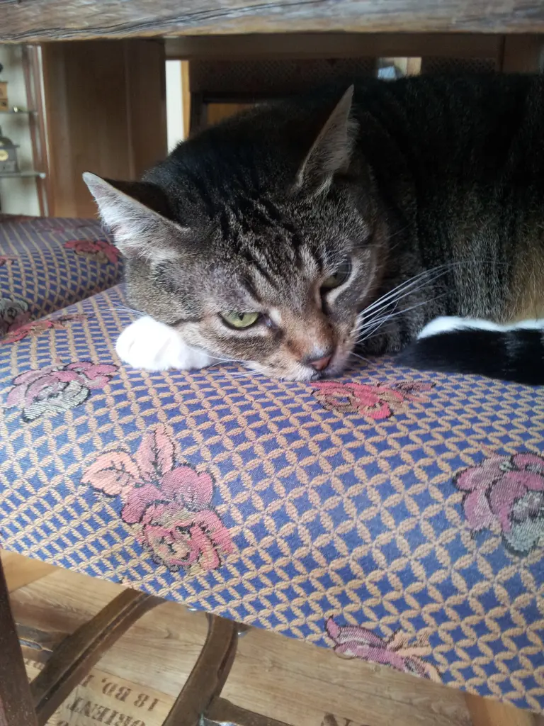 Condolence image of deiner Ilse in Liebe zum 9. Gedenkmonat