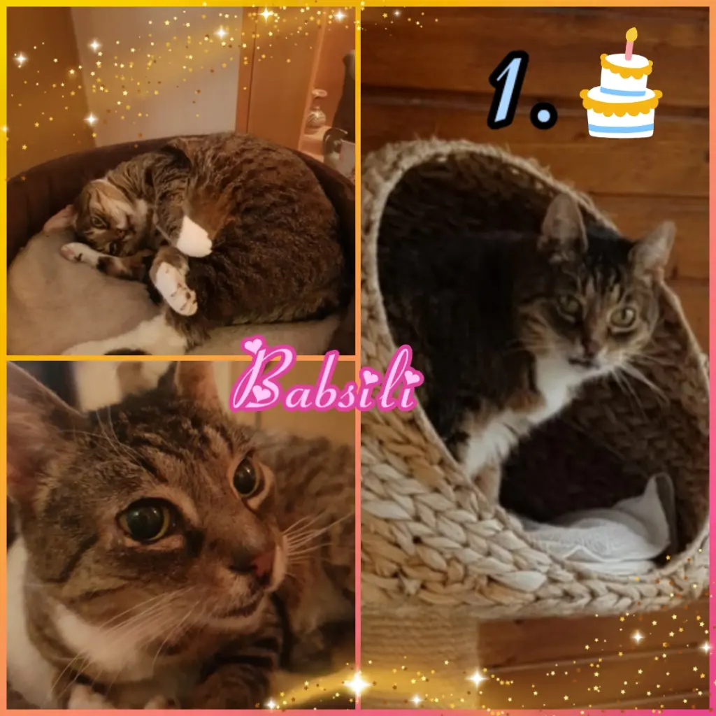Condolence image of ❤️Eike und Edeltraud mit unseren Sternchen tief im Herzen ❤️