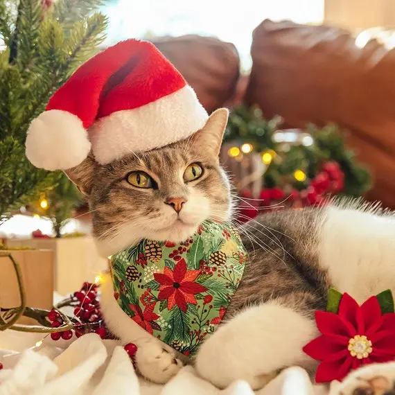 Condolence image of Frohe❤❤❤Weihnachten❤❤❤