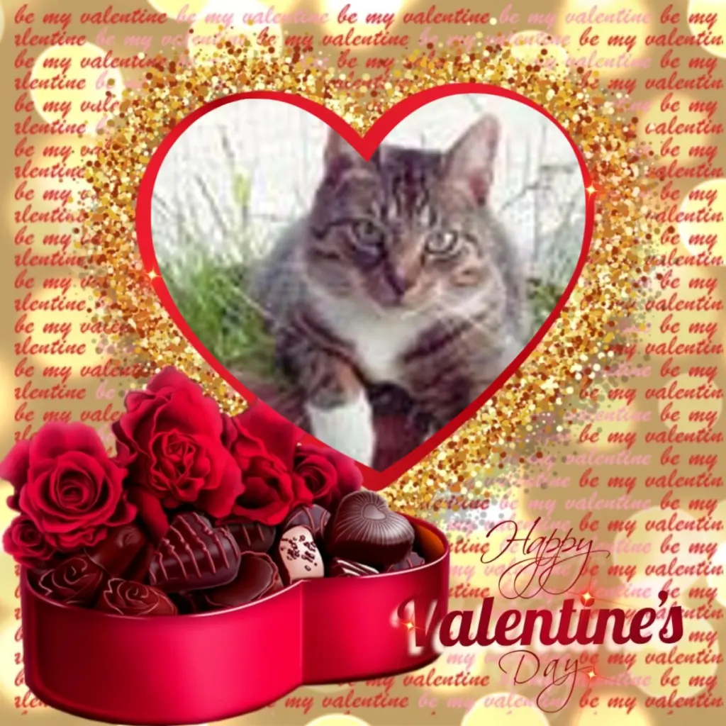 Condolence image of Valentins❤️Rosen❤️❤️❤️❤️❤️❤️❤️❤️
