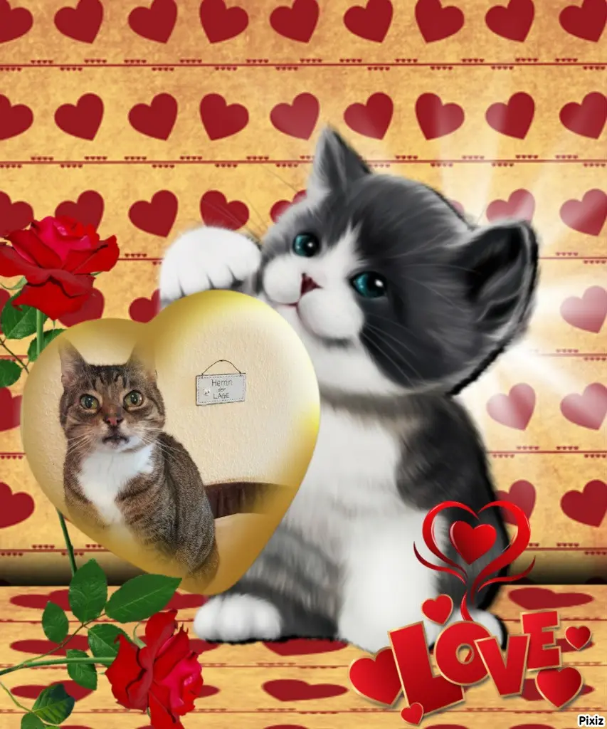 Condolence image of Tanja mit Timmy im Herzen