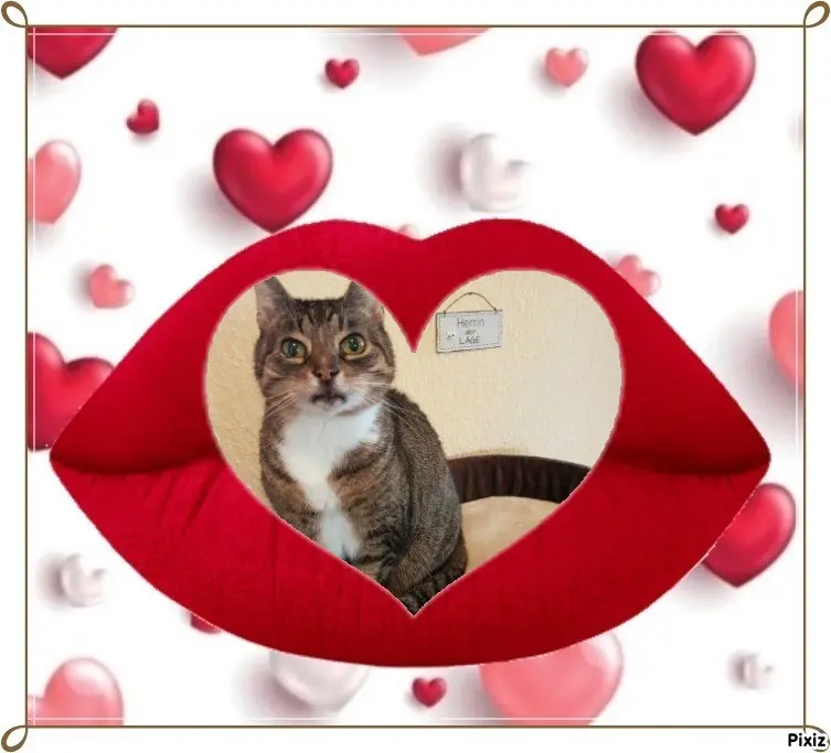 Condolence image of Tanja mit Timmy im Herzen