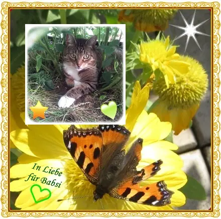 Condolence image of deiner Ilse in Liebe zum 31. Gedenkmonat