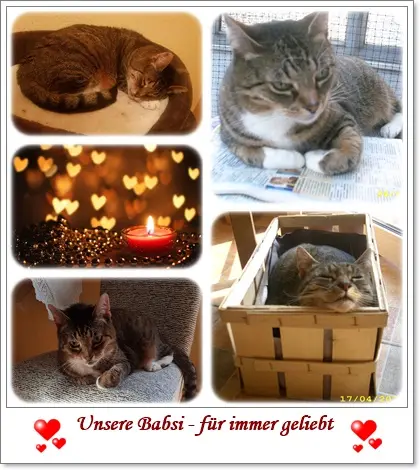 Condolence image of deiner Ilse in Liebe zum 34. Monatsgedenken