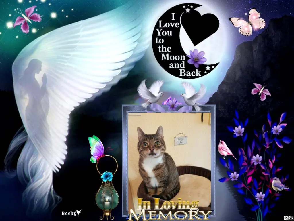 Condolence image of Tanja mit Timmy im Herzen