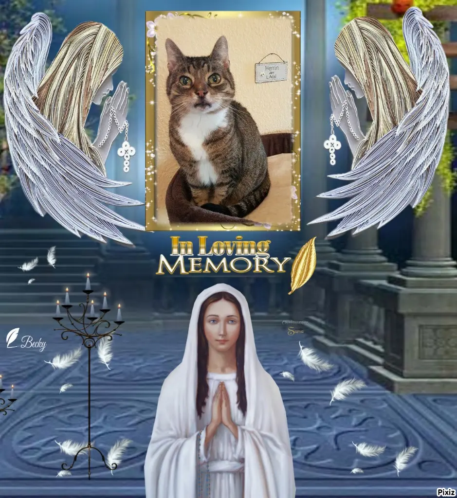 Condolence image of Tanja mit Timmy im Herzen