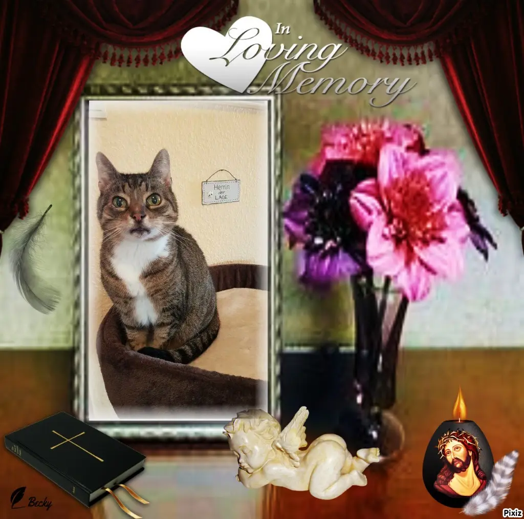 Condolence image of Tanja mit Timmy im Herzen