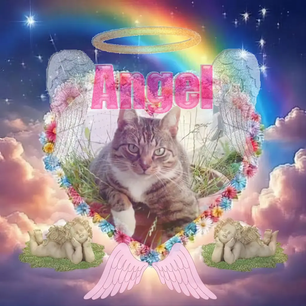 Condolence image of 4.Sternchen❤️⭐️Gedenktag❤️❤️❤️❤️