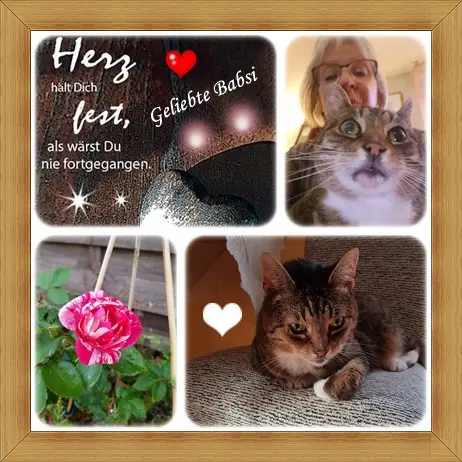 Condolence image of deine Ilse in Liebe zum 52. Monatsgedenken