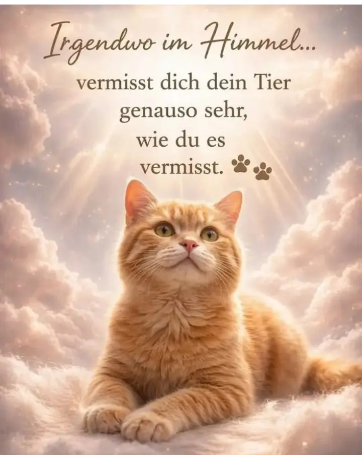 Condolence image of Corinna❤️