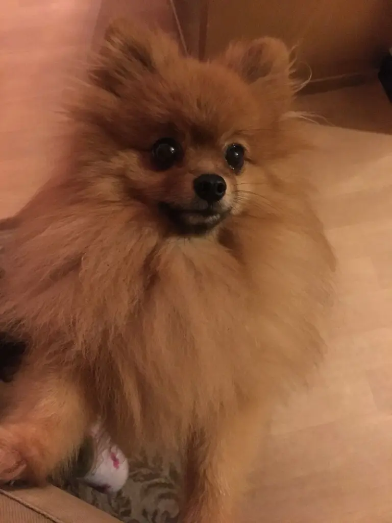 Image from Milow